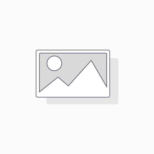 $ACCELERA 245/30 ZR22 92W IOTA ST68 BLEM TL(T)